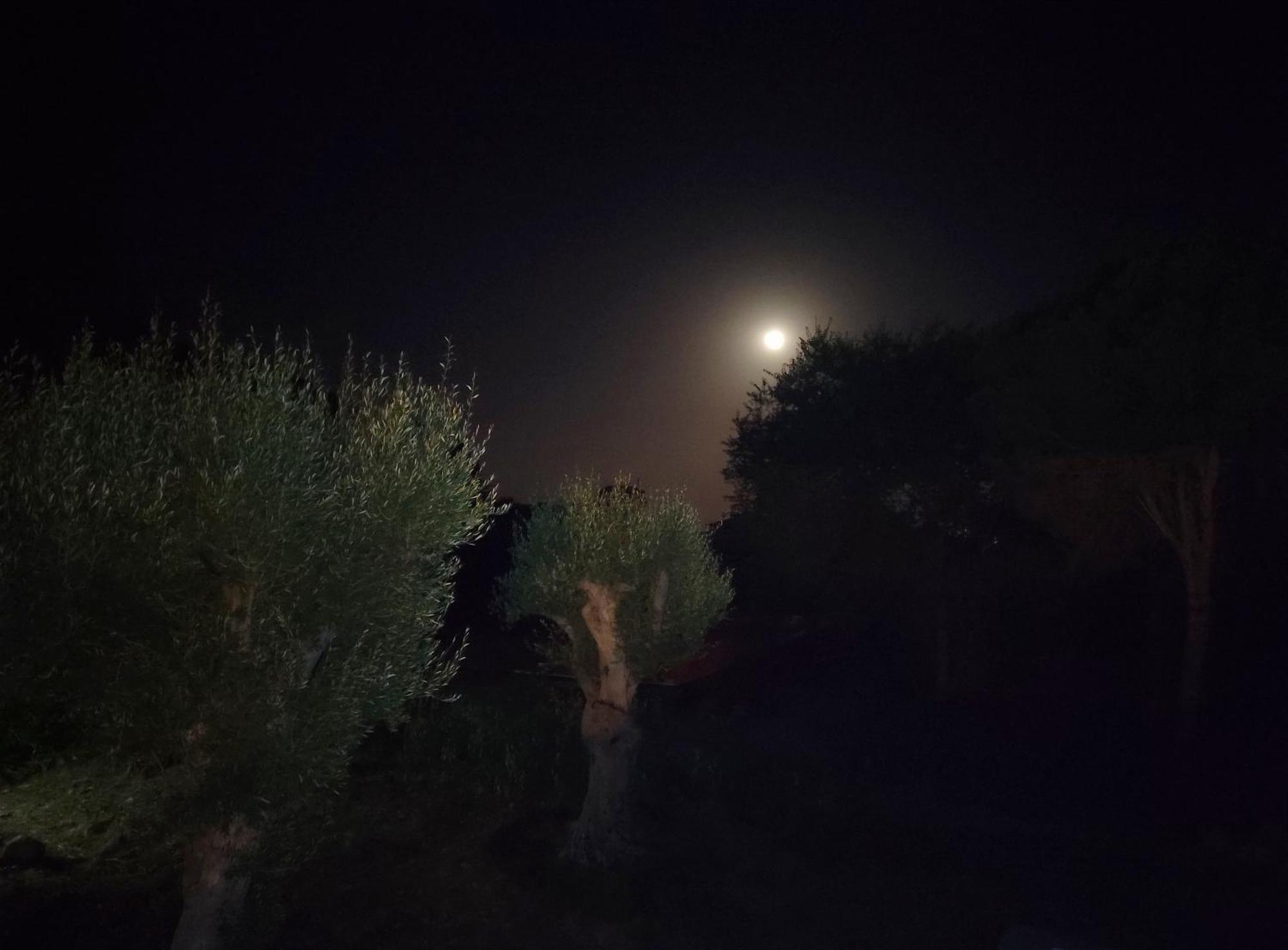 Villa Orizzonte Sullo Jonio أفولا المظهر الخارجي الصورة