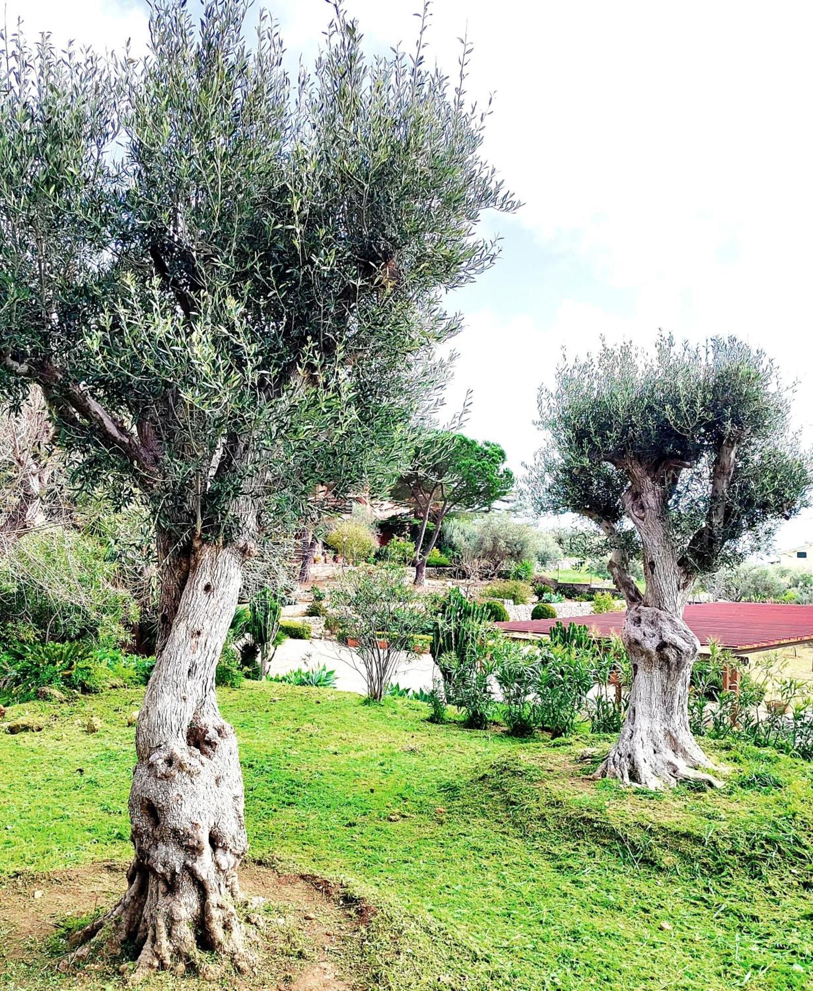 Villa Orizzonte Sullo Jonio أفولا المظهر الخارجي الصورة